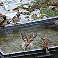 IMG_4304