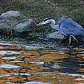 IMG_3775