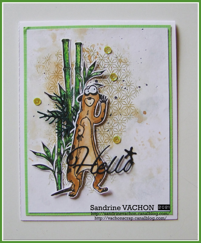 Sandrine VACHON 693 PCC