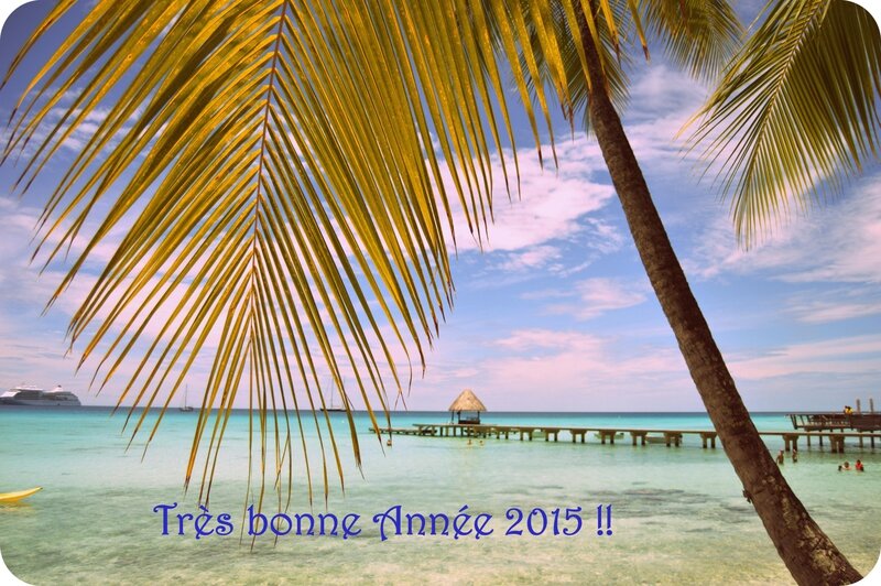 bonne année 2015 BLOG