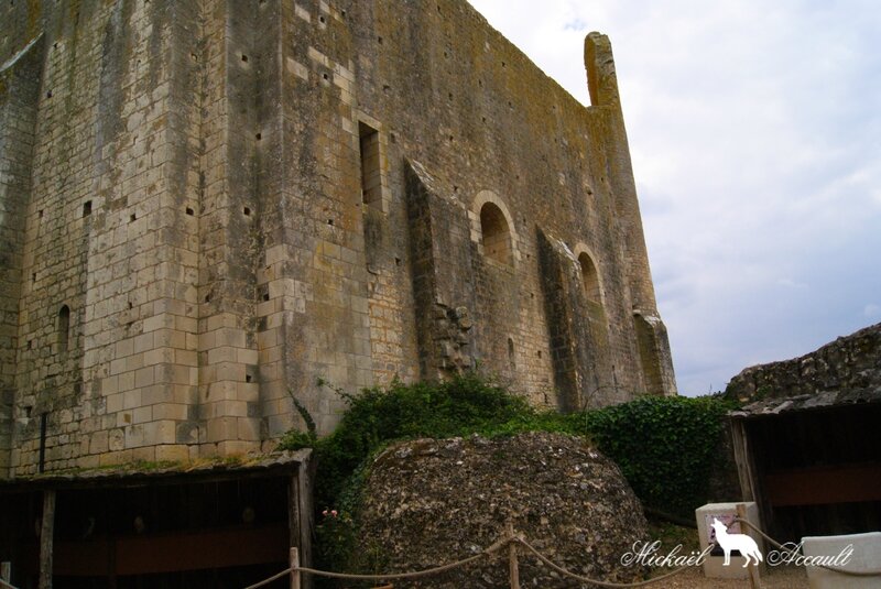 Les ruines du château baronnial (xiie siècle), ancien château des Évêques de Poitiers 2