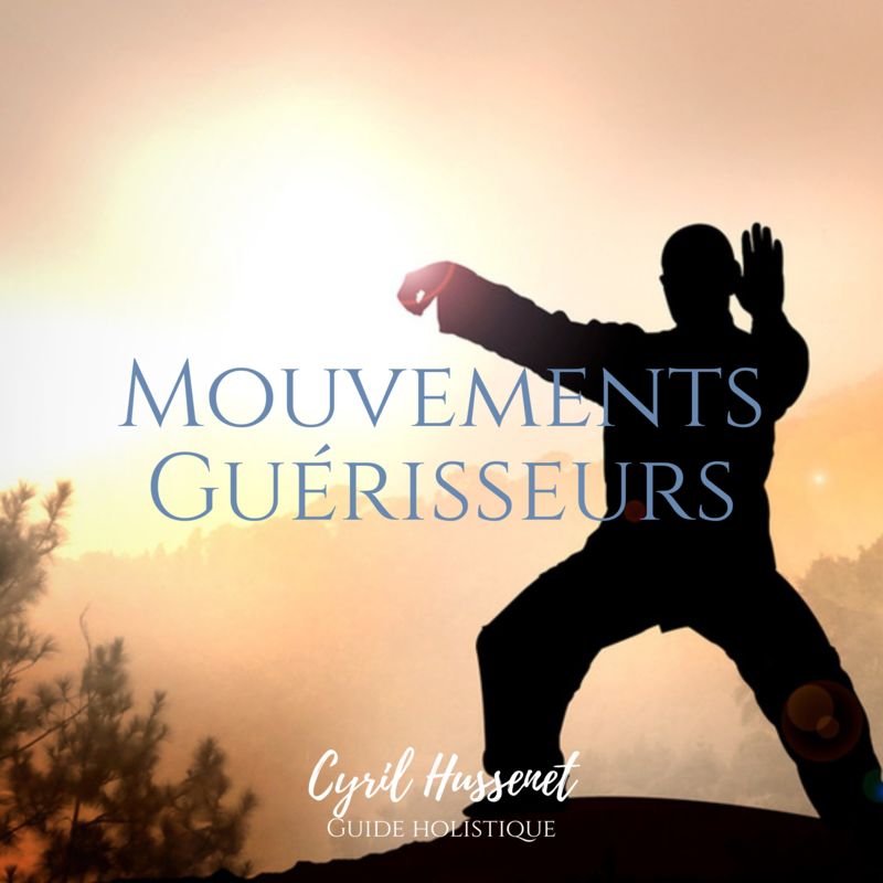 Les 7 Etapes Des Flammes Jumelles Cyril Hussenet Guide Holistique