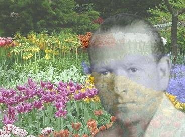 Les Fleurs de Bach, Guérison émotionnelle par les plantes