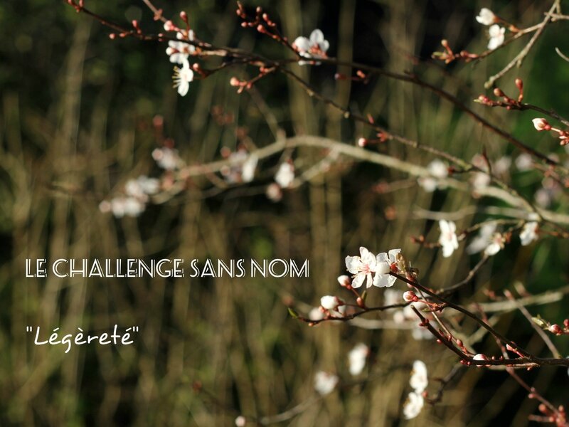 Challenge sans nom - Légèreté