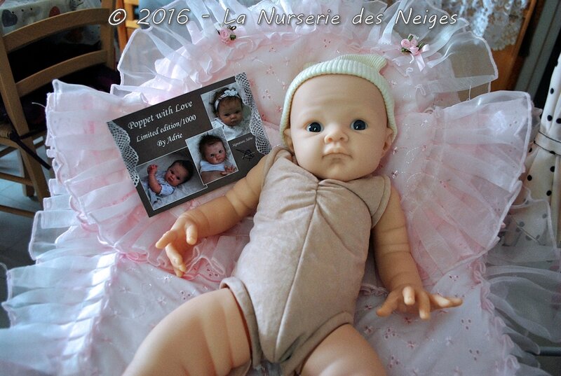 NDN-poppet-02