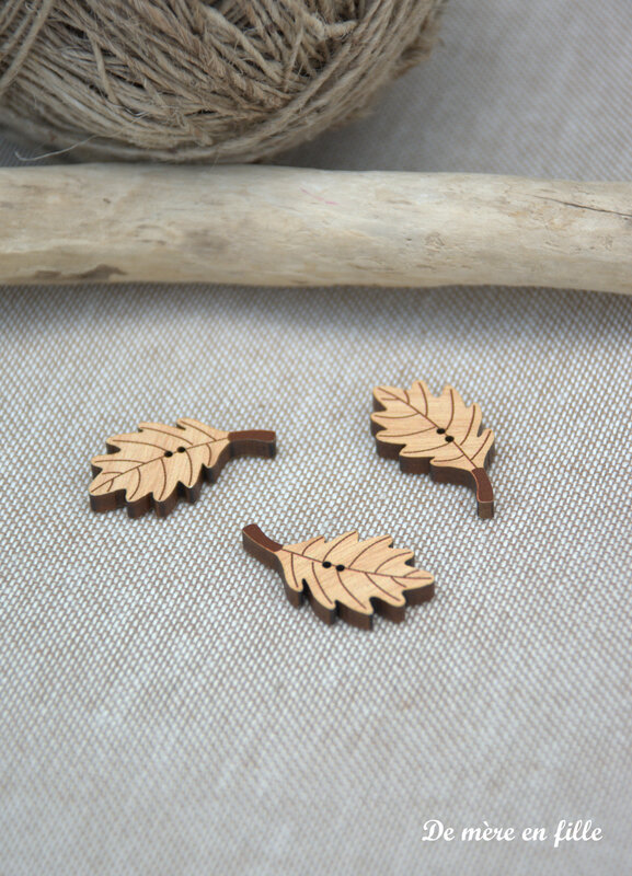feuilles de chêne naturelles
