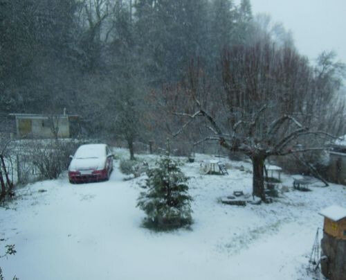 012820_neige