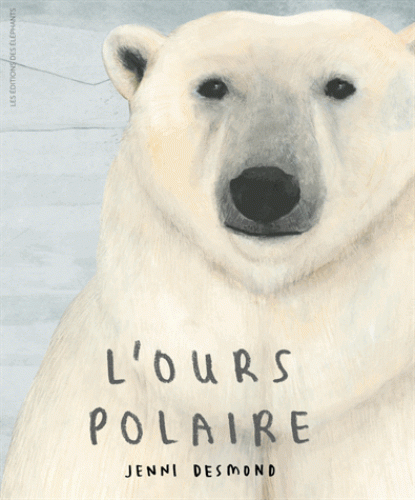 l'ours polaire