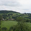 Bergesserin