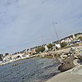 _DSC0065