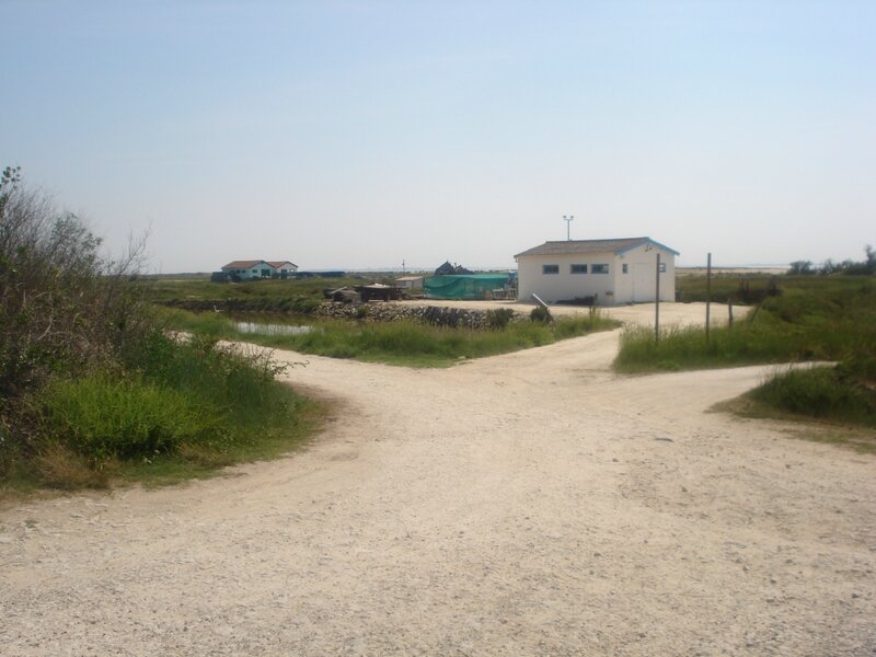 DSC02509