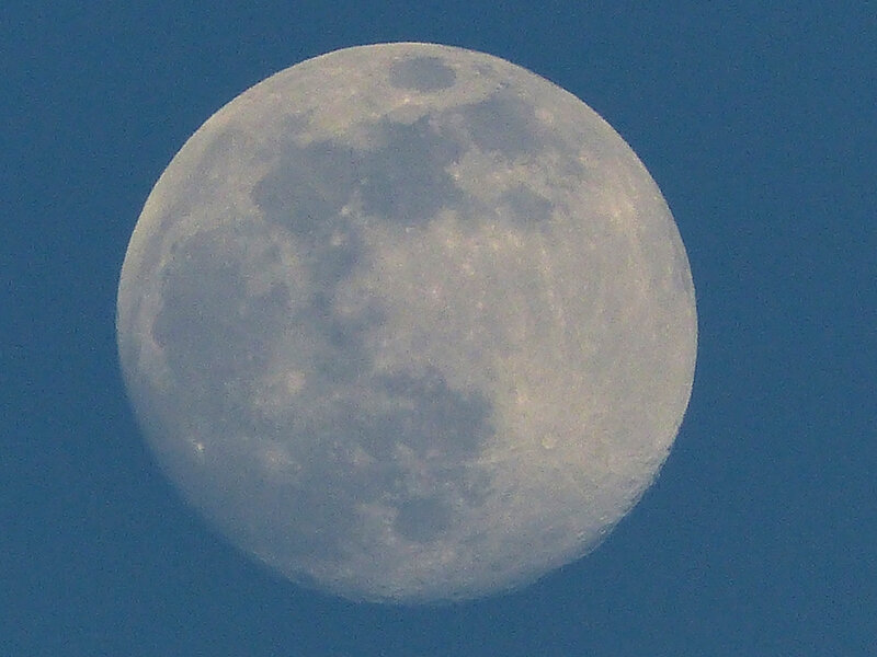 P1520187
