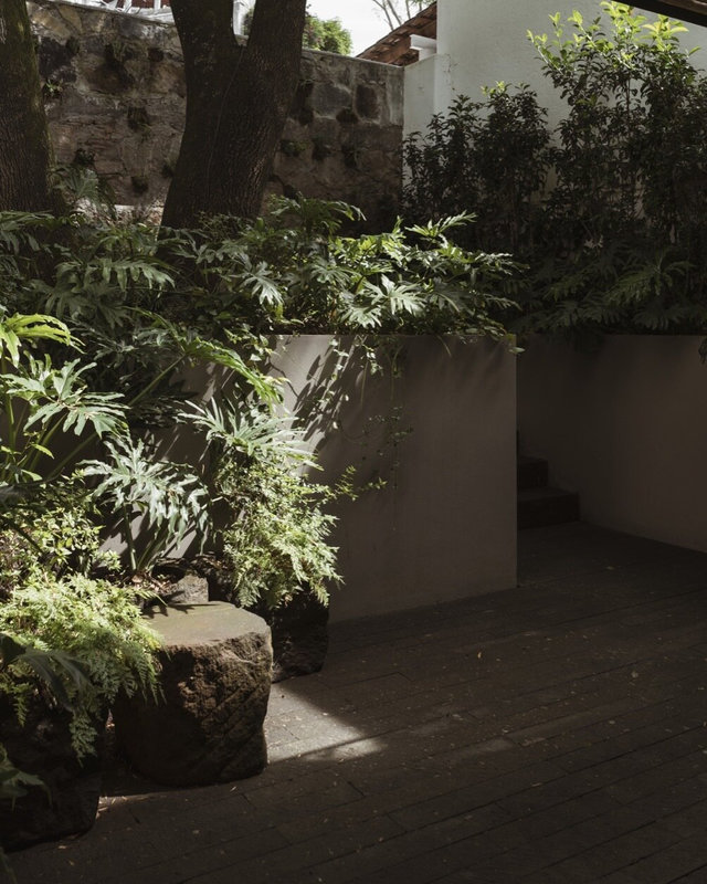 planters-full-of-green-lead-the-way-to-a-small-patio