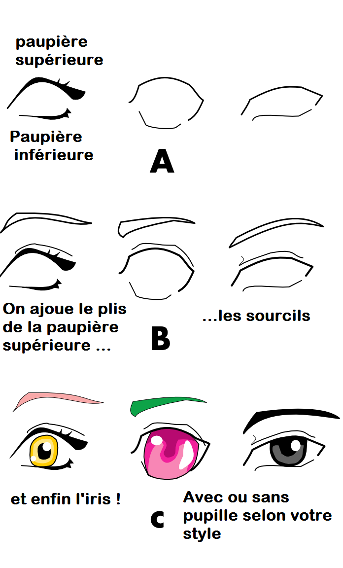 Leçon N4 Les Yeux Vue De Profil Et Vue De Face Manga