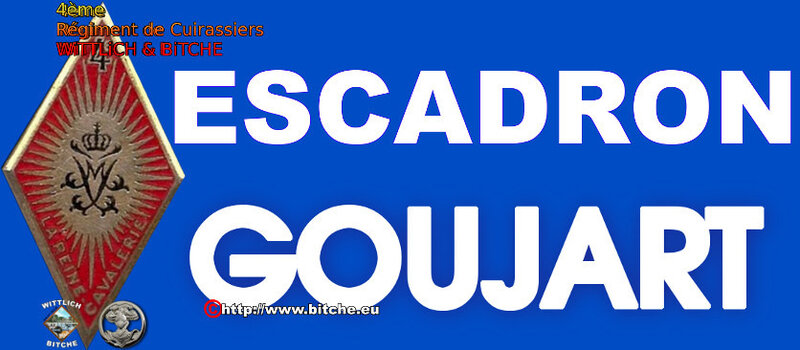 - PANNEAU d' ESCADRON GOUJART