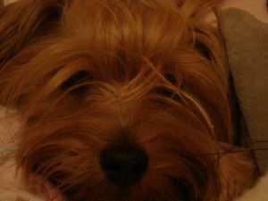image(1)