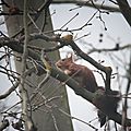 IMG_6227