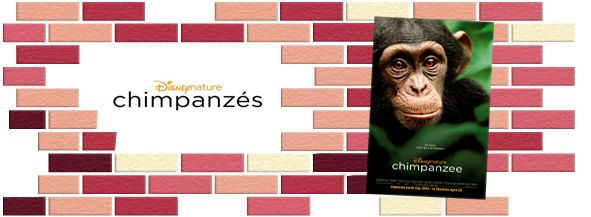 chimpanz_s