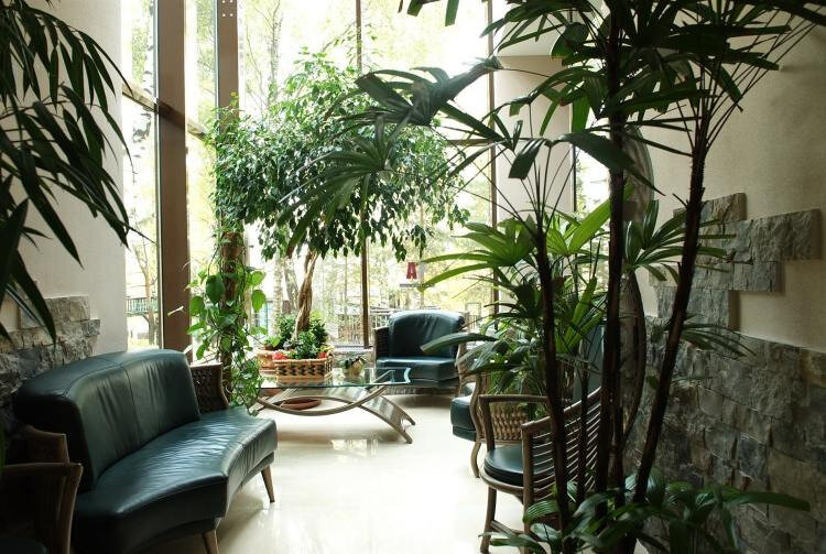 partie-vitrée-maison-jardin-hiver-plantes-vertes