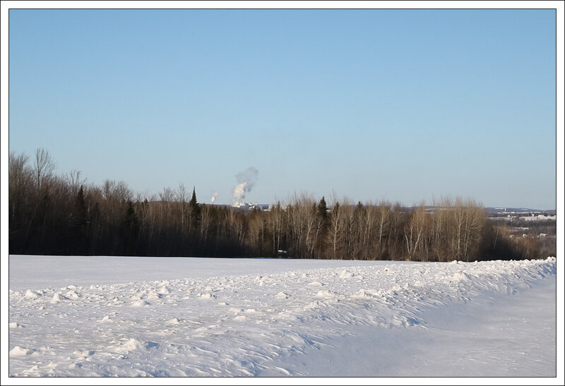 IMG_1549-1-2