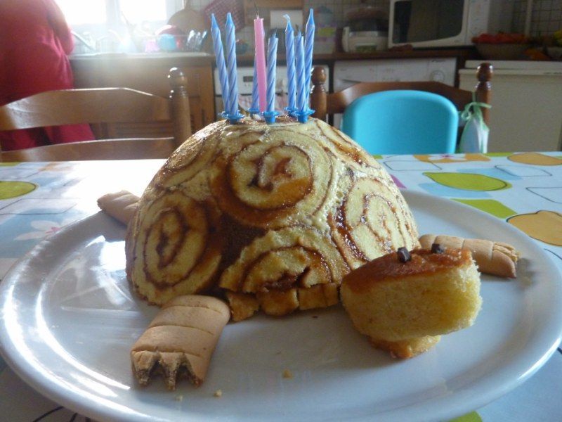 Gateau Tortue A La Mousse Au Chocolat Blanc Miss Cake