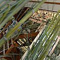 _DSC0034