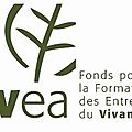  initier des formations sur le développement professionnel