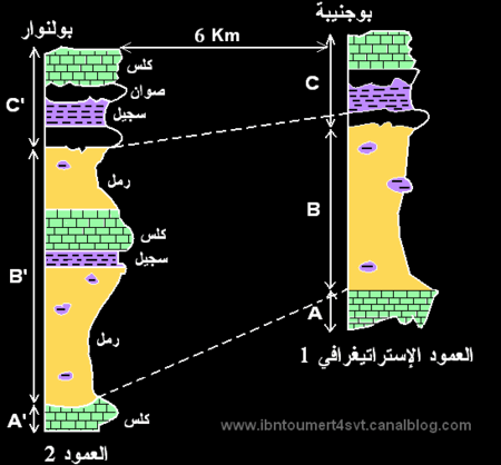 colonne_stratigraphique