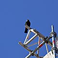 IMG_0721