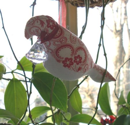 OISEAU_ROUGE_FACE