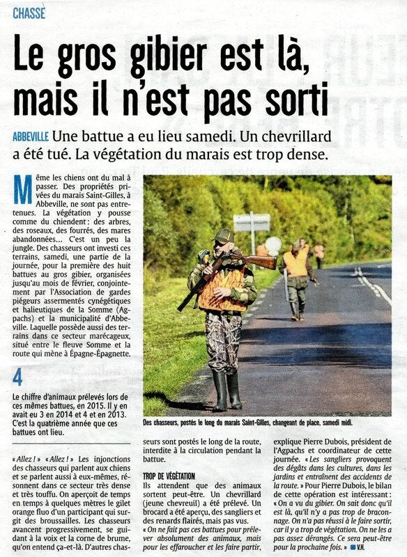 parution courrier picard gros gibier