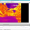 Effets du reiki mesurés par caméra infrarouge thermique