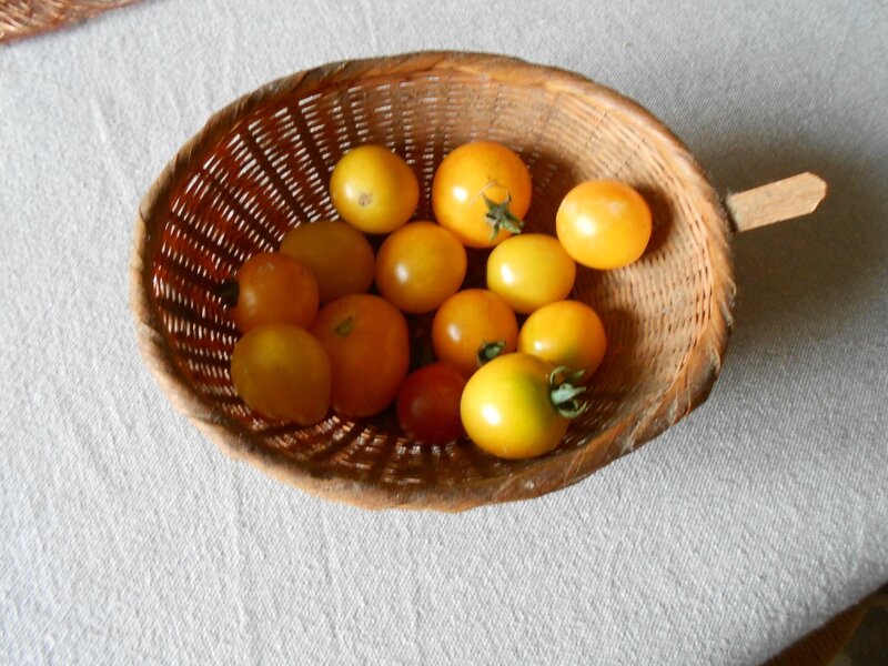 Confiture de tomates cerises jaunes Le jardin de Cruik Les fleurs
