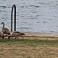 IMG_8864