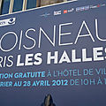 049 - Doineau - Patis les Halles