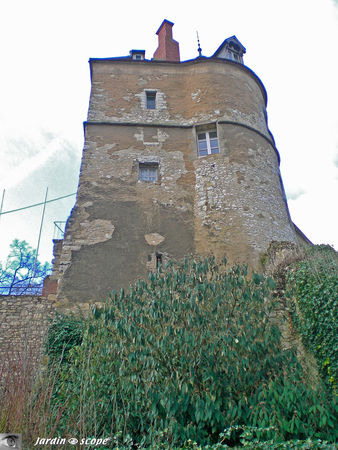 Chateau_Montargis