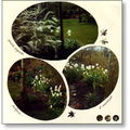 jardin page09