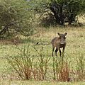 P1130872
