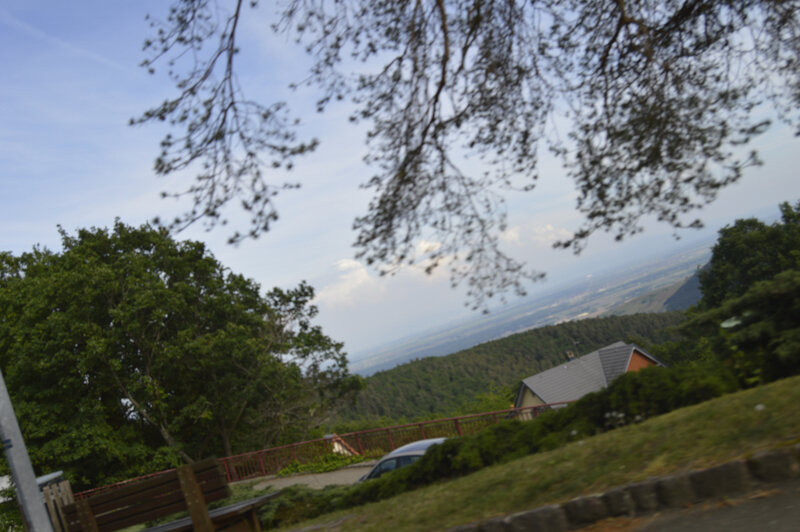 _DSC0275