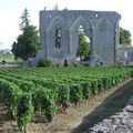 Les vacances de phanie episode 2 - saint emilion