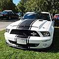 Shelby super snake gt 500 (2008-2010)