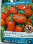 graines tomates aligote (2)
