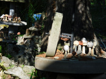 auxerre_jardin_vers_arboretum__2_