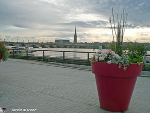 Pont_de_Pierre
