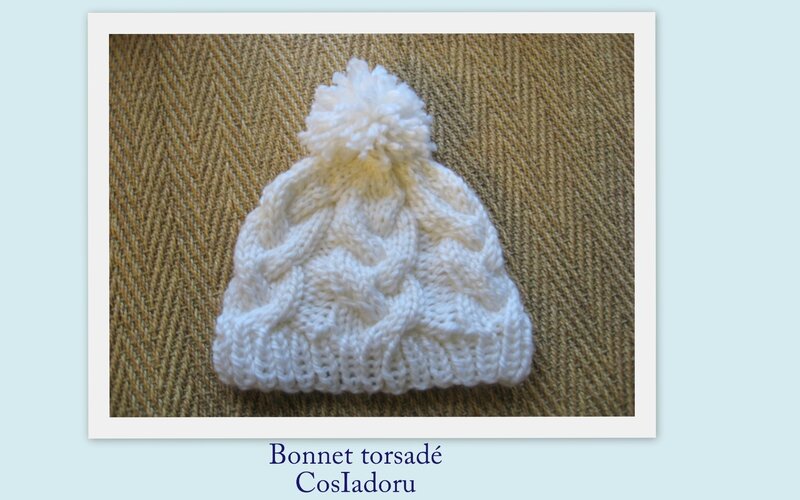 Bonnet torsadé2