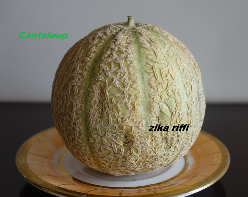 cantaloup ( melon d'eau )