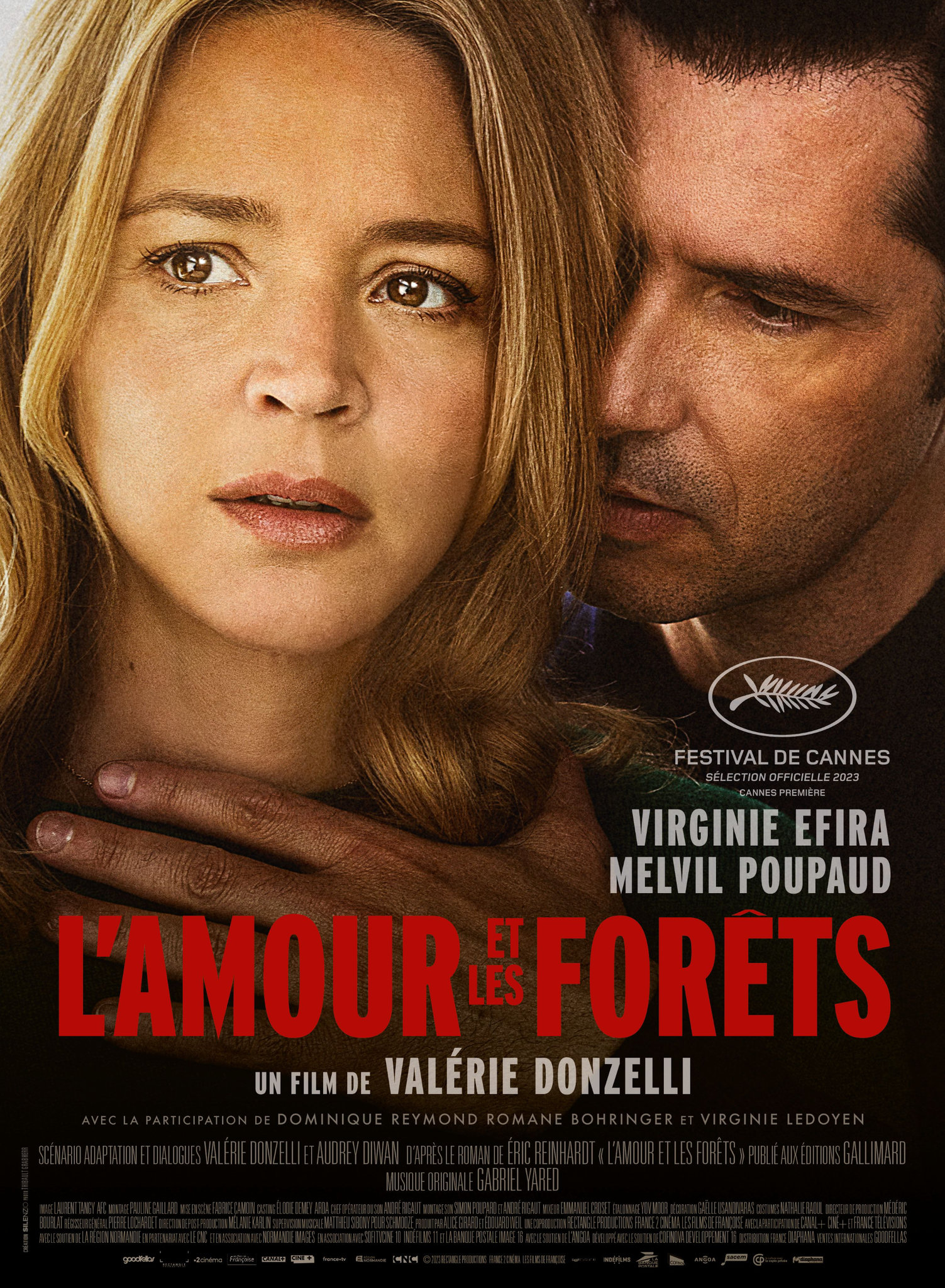Cinéma > L'Amour et les forêts > de Valérie Donzelli avec Virginie Efira et Melvine Poupaud