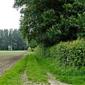 _IGP4663 (2)
