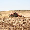 IMG_8066