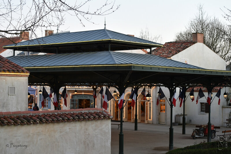 PUY_8574